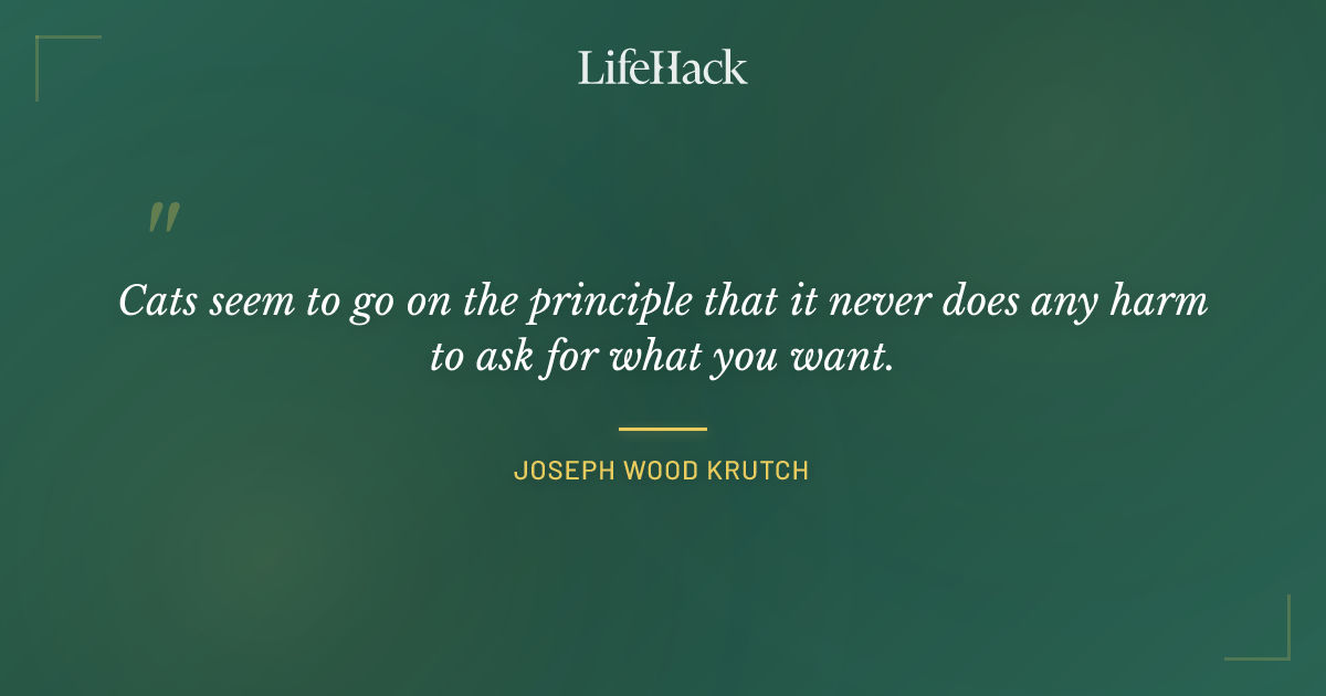 Quote by Joseph Wood Krutch