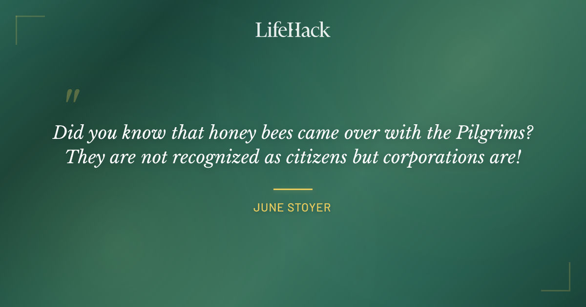 Quote by June Stoyer