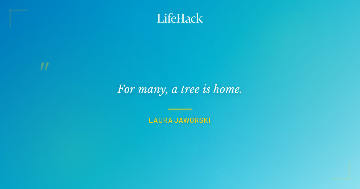 Quote by Laura Jaworski