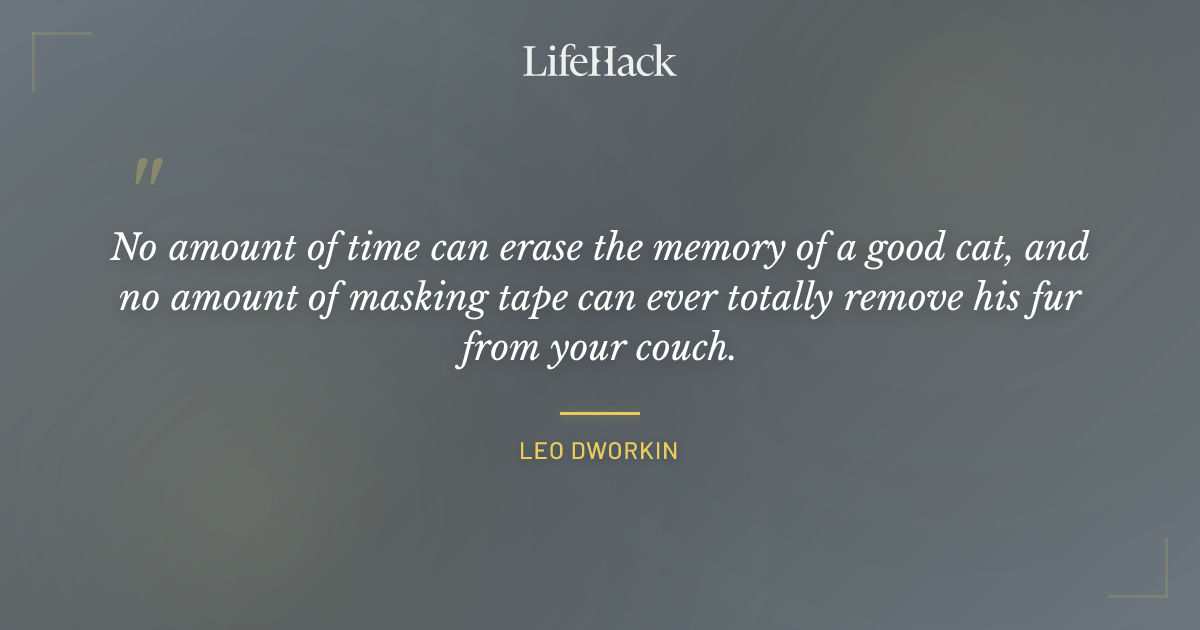 Quote by Leo Dworkin