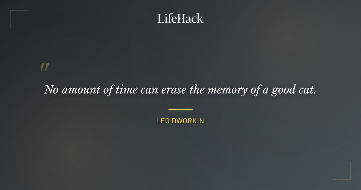 Quote by Leo Dworkin