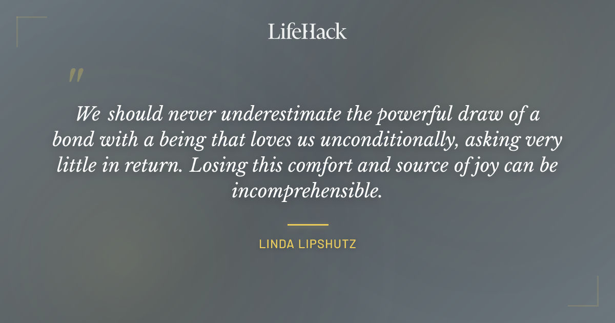 Quote by Linda Lipshutz