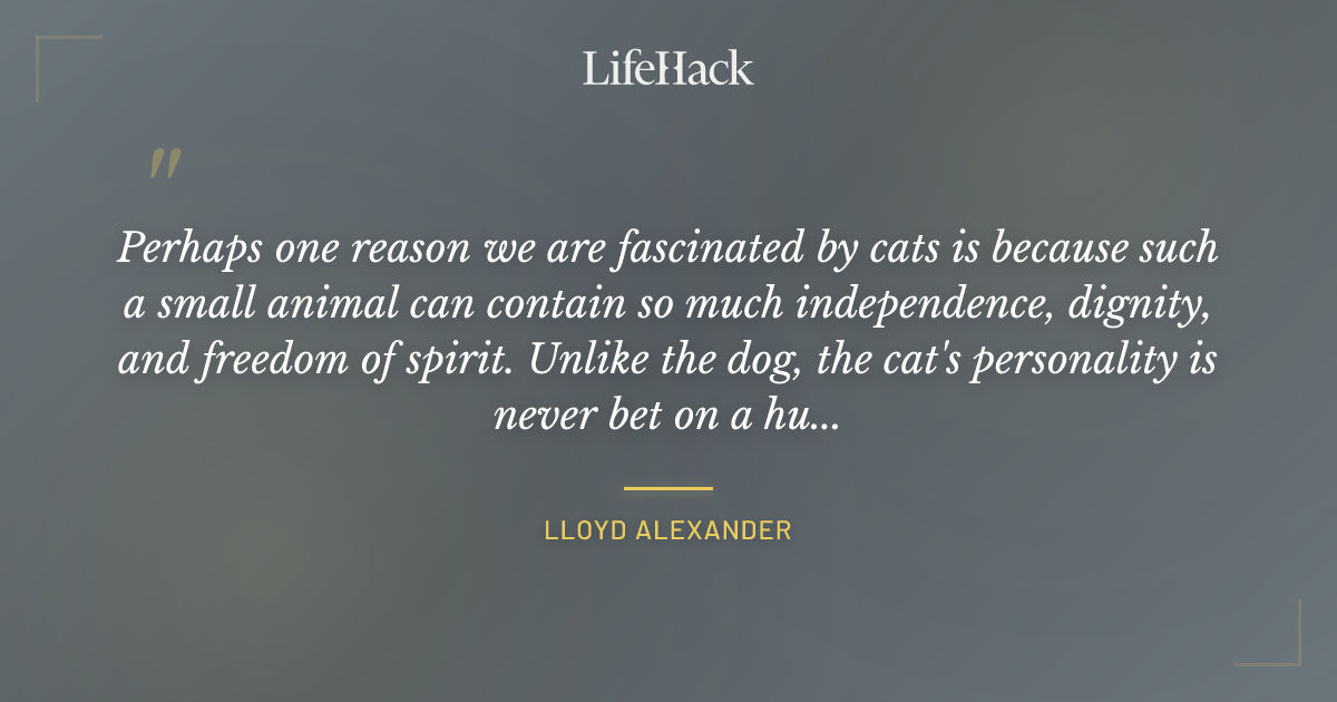 Quote by Lloyd Alexander