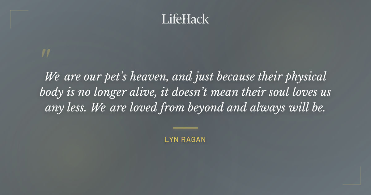 Quote by Lyn Ragan