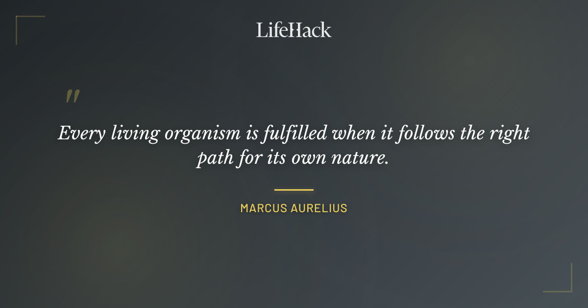 Quote by Marcus Aurelius