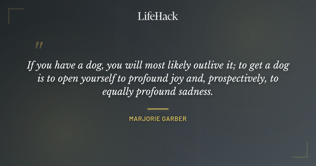 Quote by Marjorie Garber