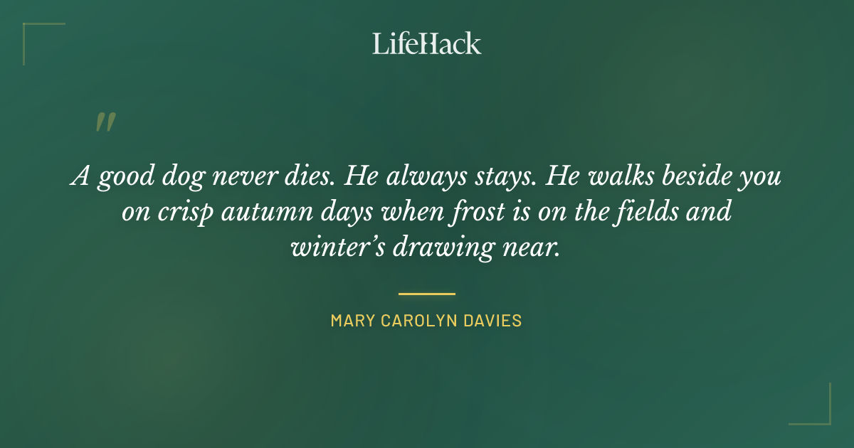 Quote by Mary Carolyn Davies
