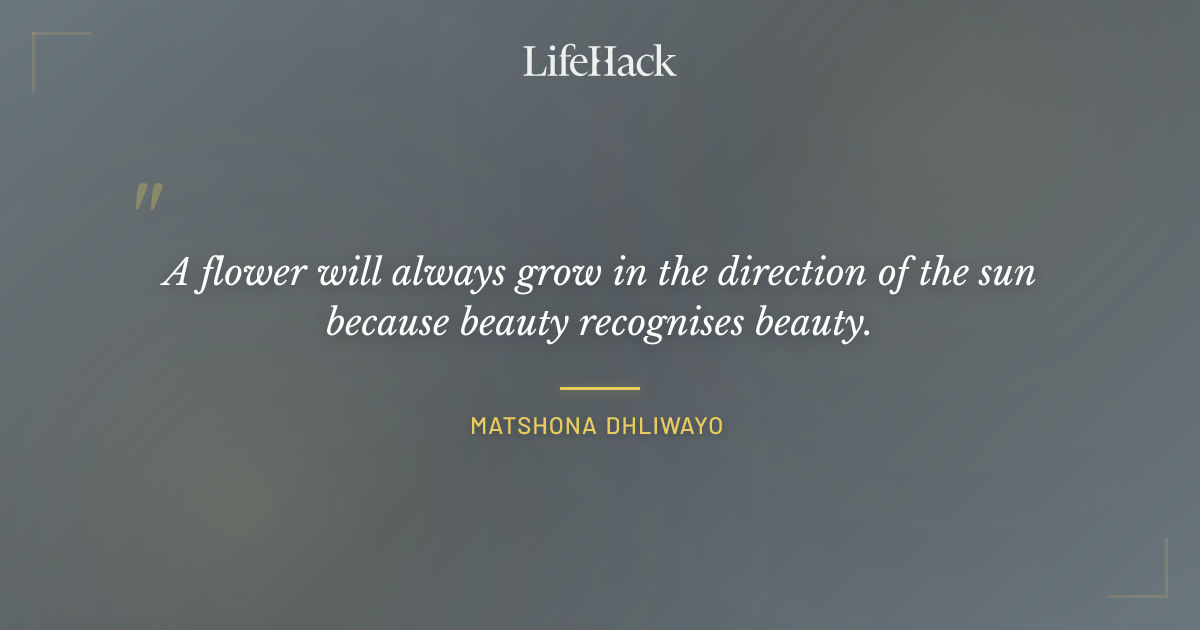 Quote by Matshona Dhliwayo