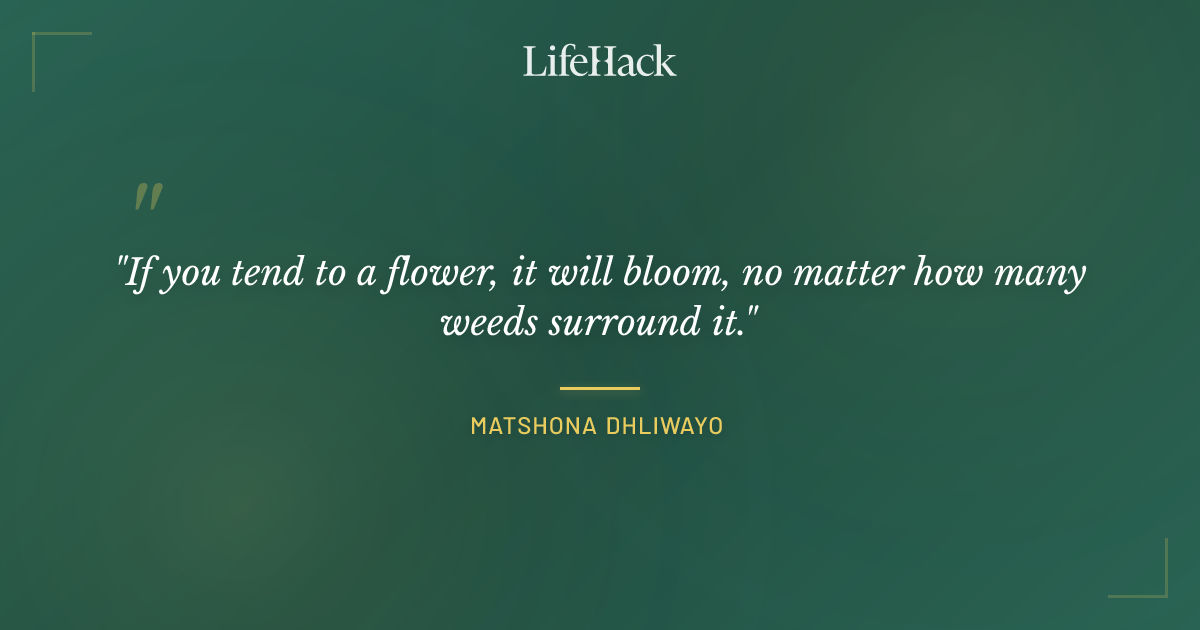 Quote by Matshona Dhliwayo