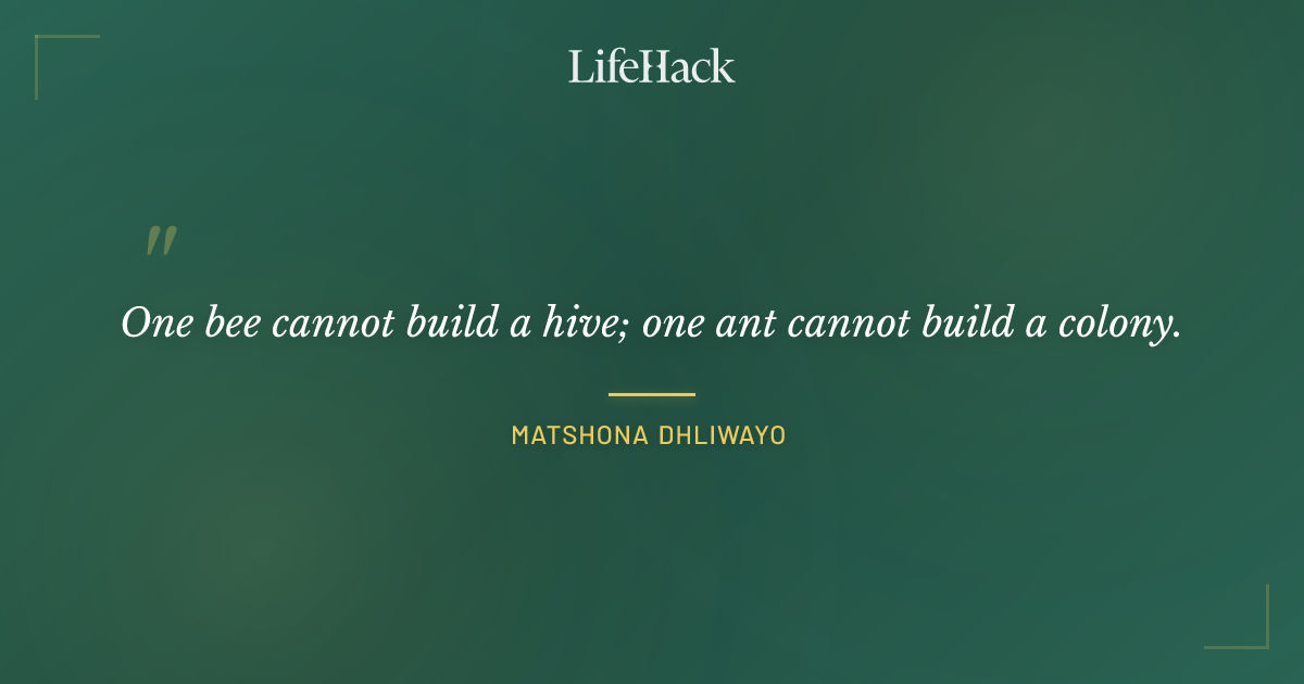 Quote by Matshona Dhliwayo