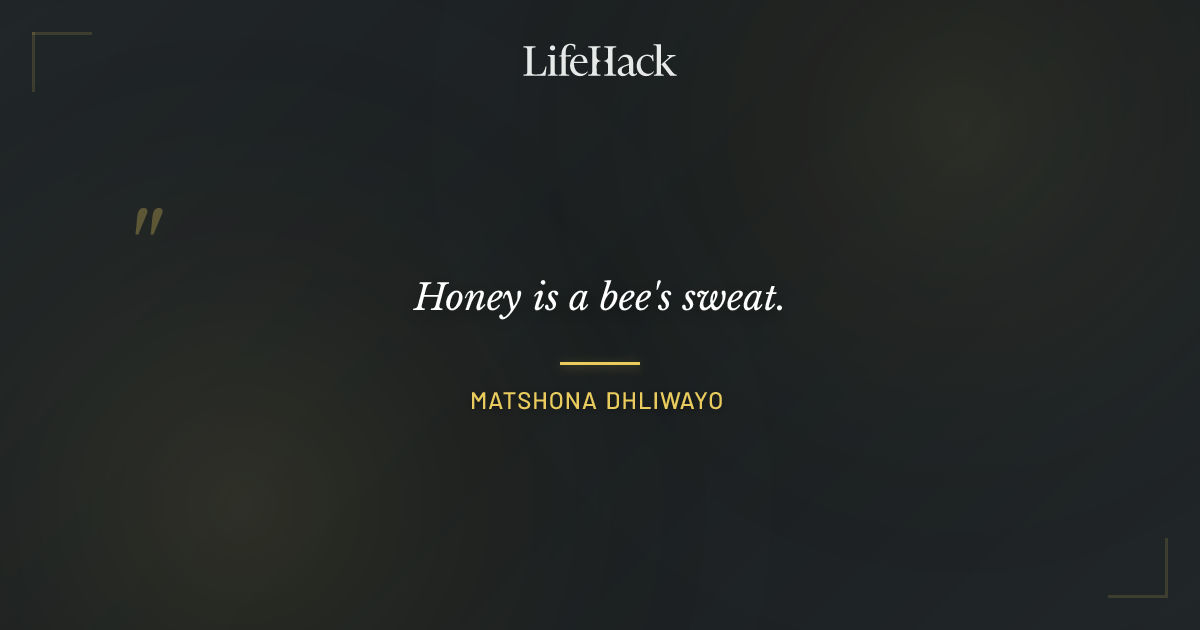 Quote by Matshona Dhliwayo