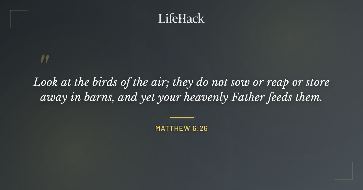Quote by Matthew 6:26