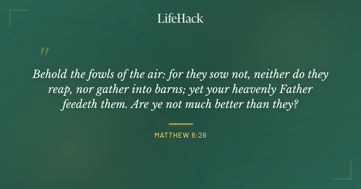 Quote by Matthew 6:26