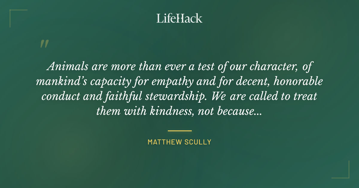 Quote by Matthew Scully