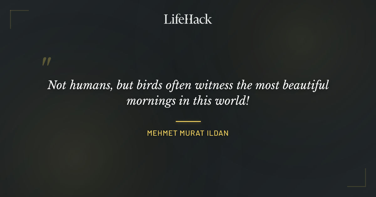 Quote by Mehmet Murat ildan