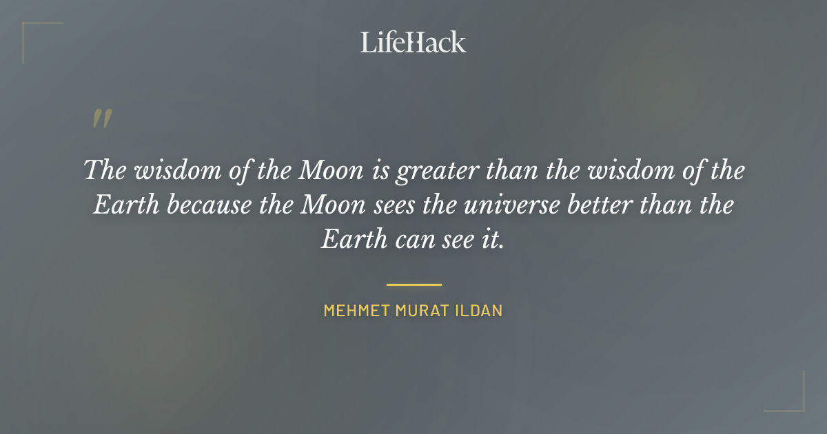 Quote by Mehmet Murat ildan