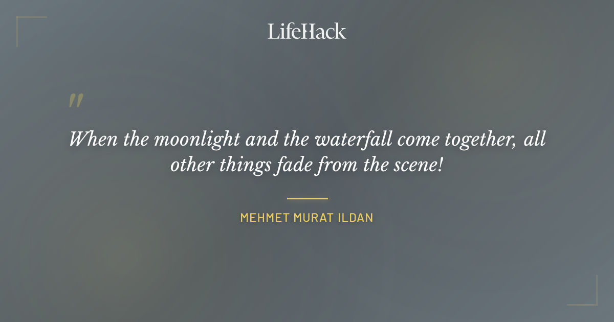 Quote by Mehmet Murat ildan