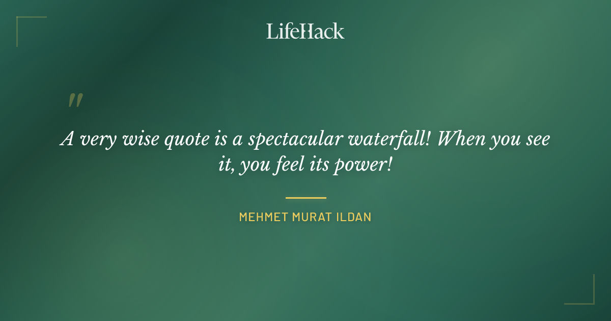 Quote by Mehmet Murat ildan