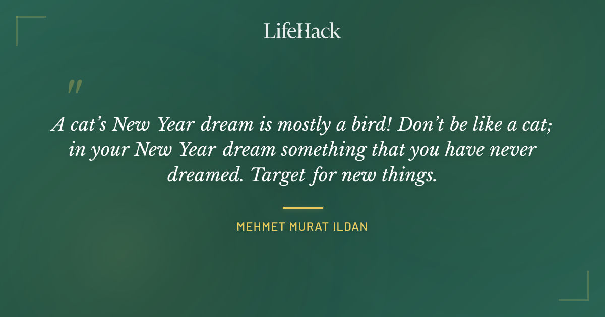 Quote by Mehmet Murat ildan