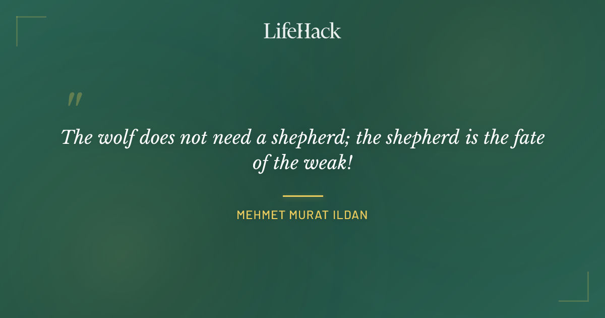 Quote by Mehmet Murat ildan