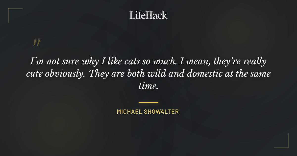 Quote by Michael Showalter