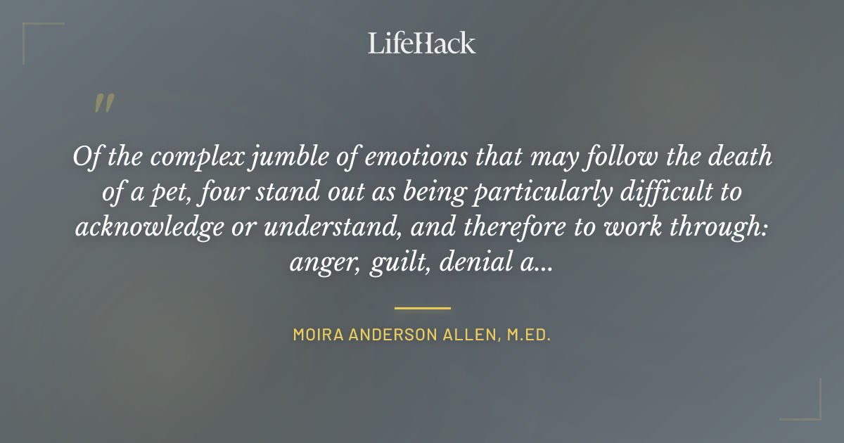 Quote by Moira Anderson Allen, M.Ed.