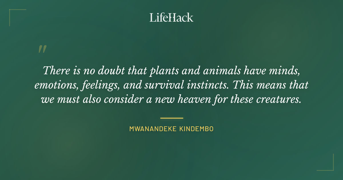 Quote by Mwanandeke Kindembo