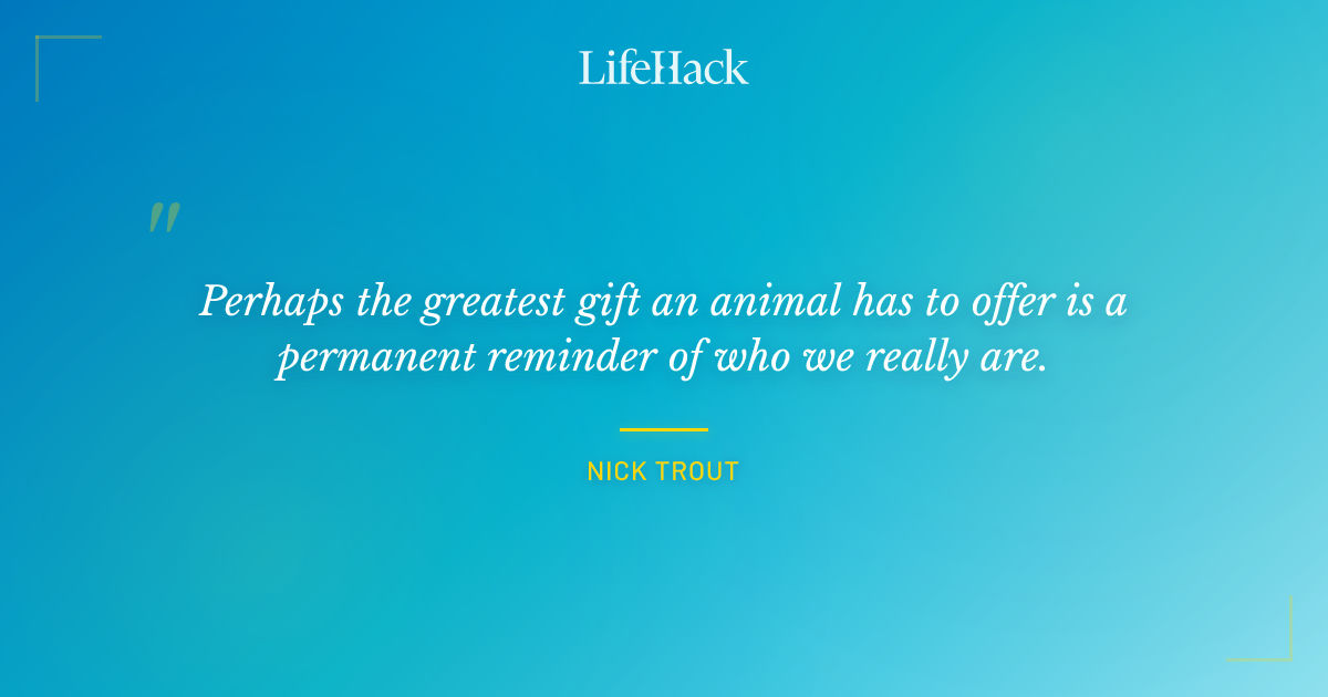 Quote by Nick Trout