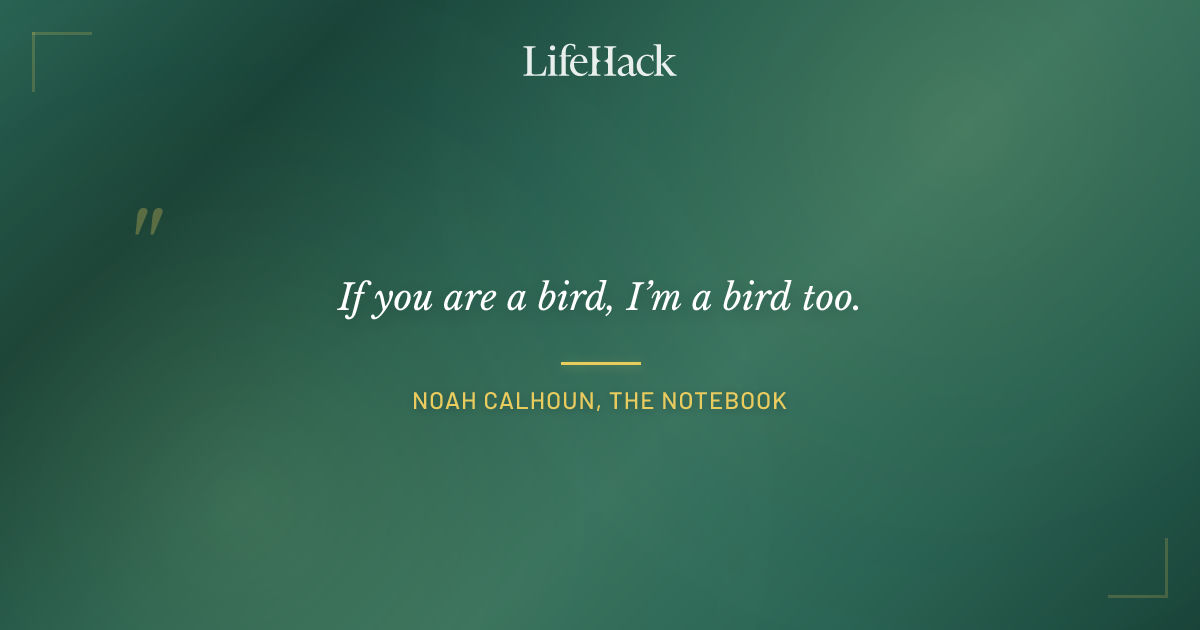 Quote by Noah Calhoun, The Notebook