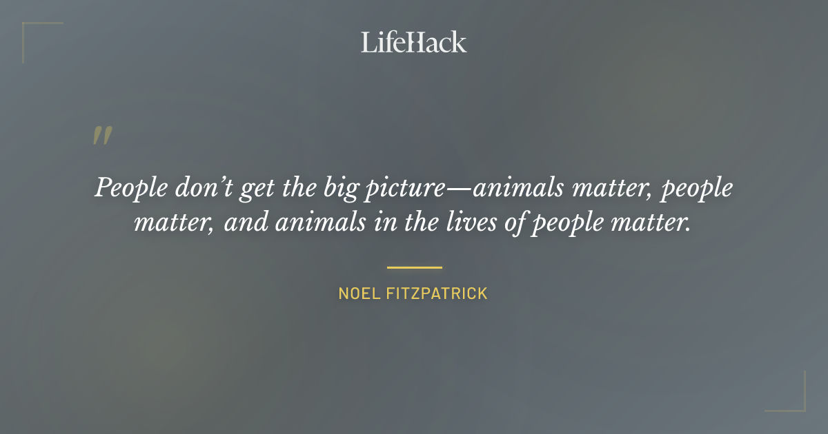 Quote by Noel Fitzpatrick