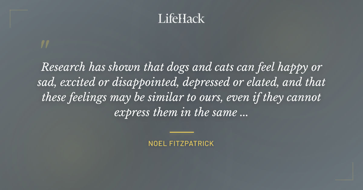 Quote by Noel Fitzpatrick