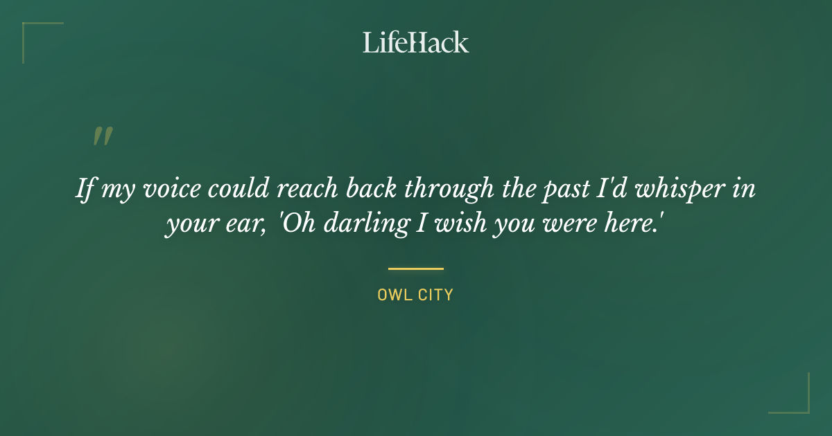 Quote by Owl City