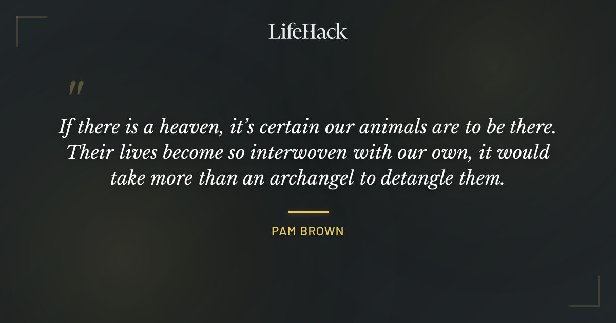 Quote by Pam Brown