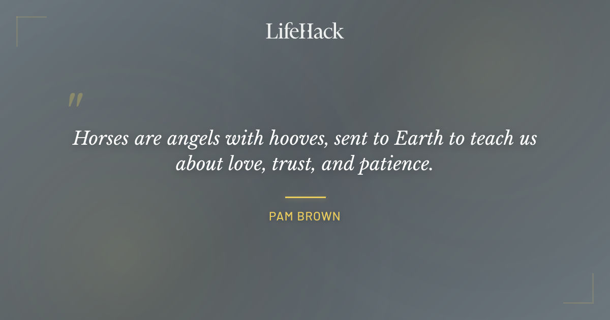Quote by Pam Brown