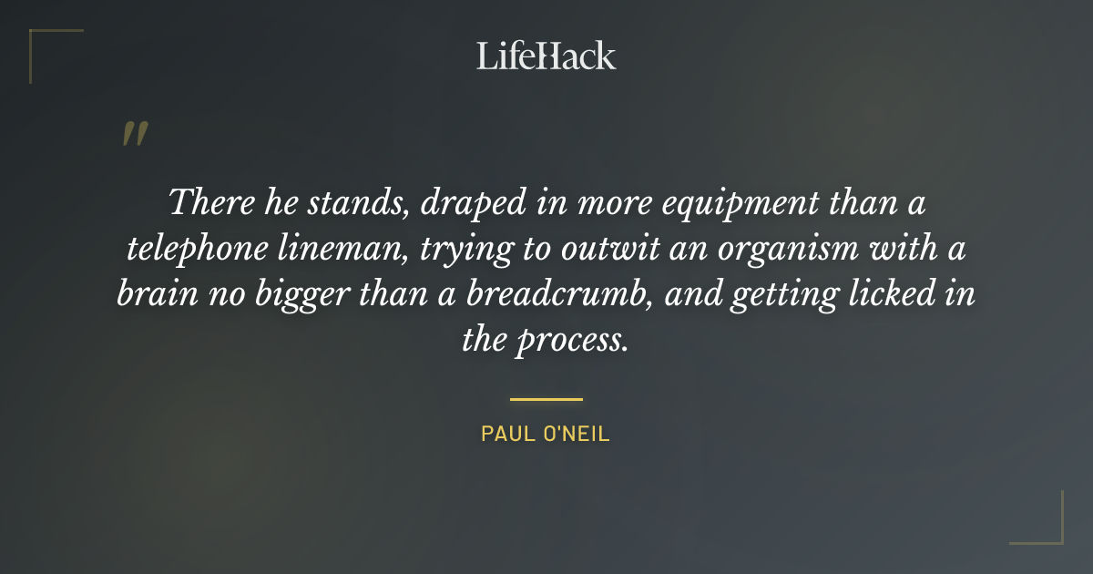 Quote by Paul O'Neil