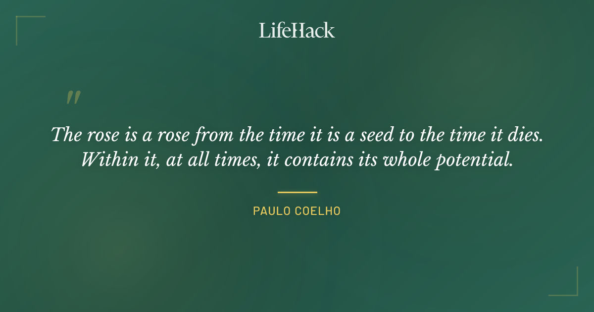 Quote by Paulo Coelho
