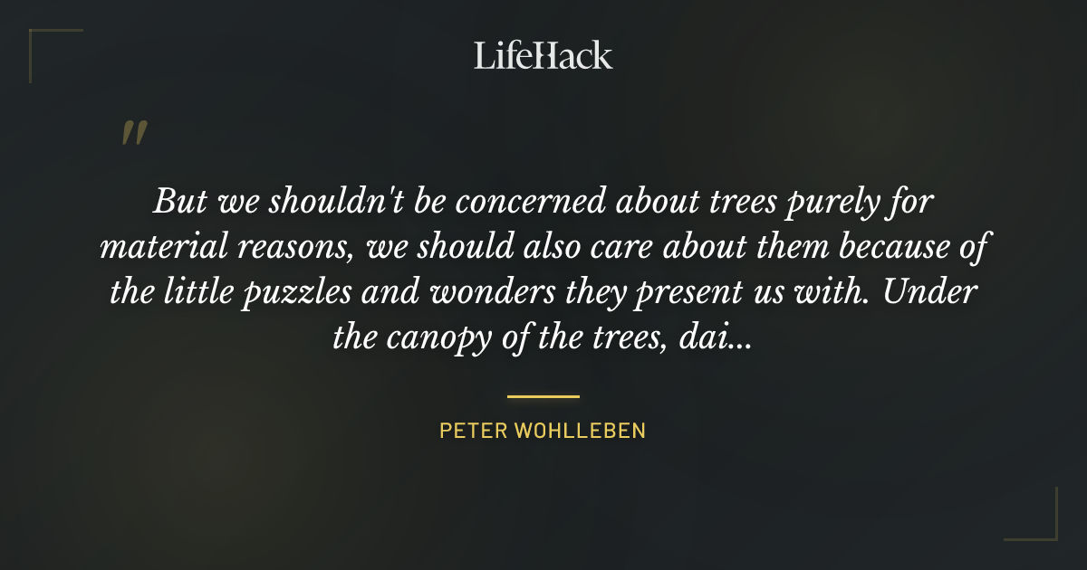 Quote by Peter Wohlleben