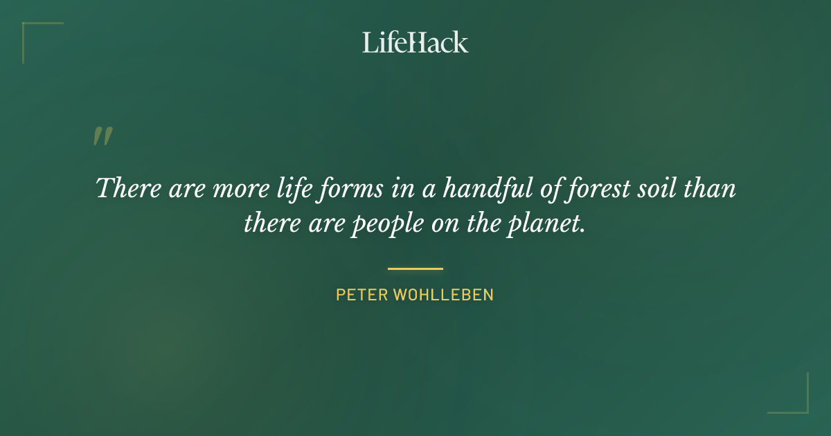 Quote by Peter Wohlleben