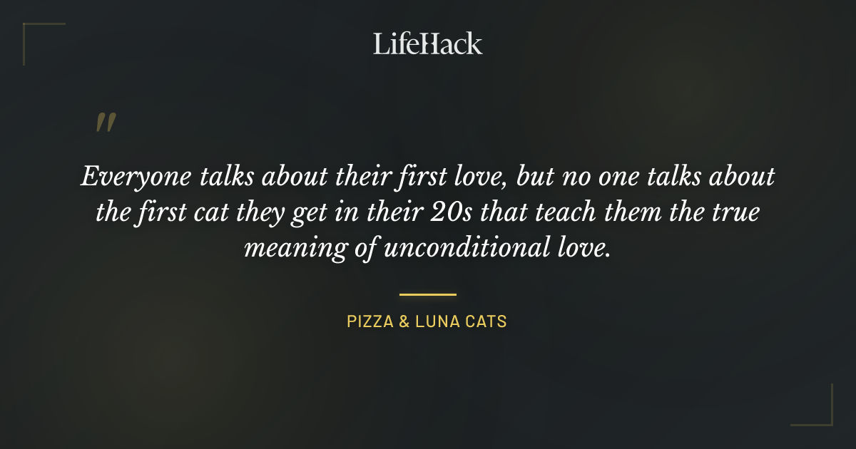 Quote by Pizza & Luna Cats