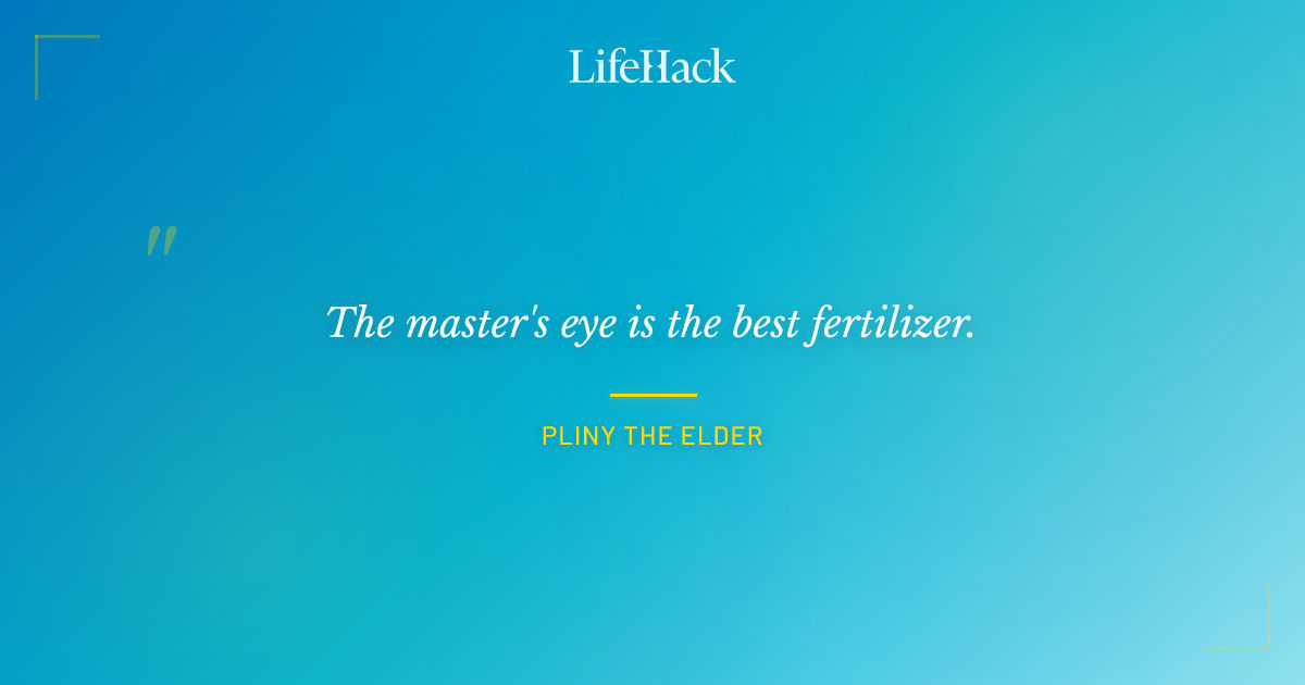 Quote by Pliny the Elder