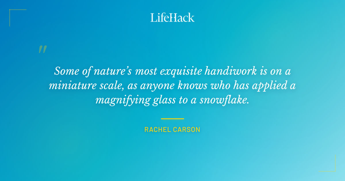 Quote by Rachel Carson