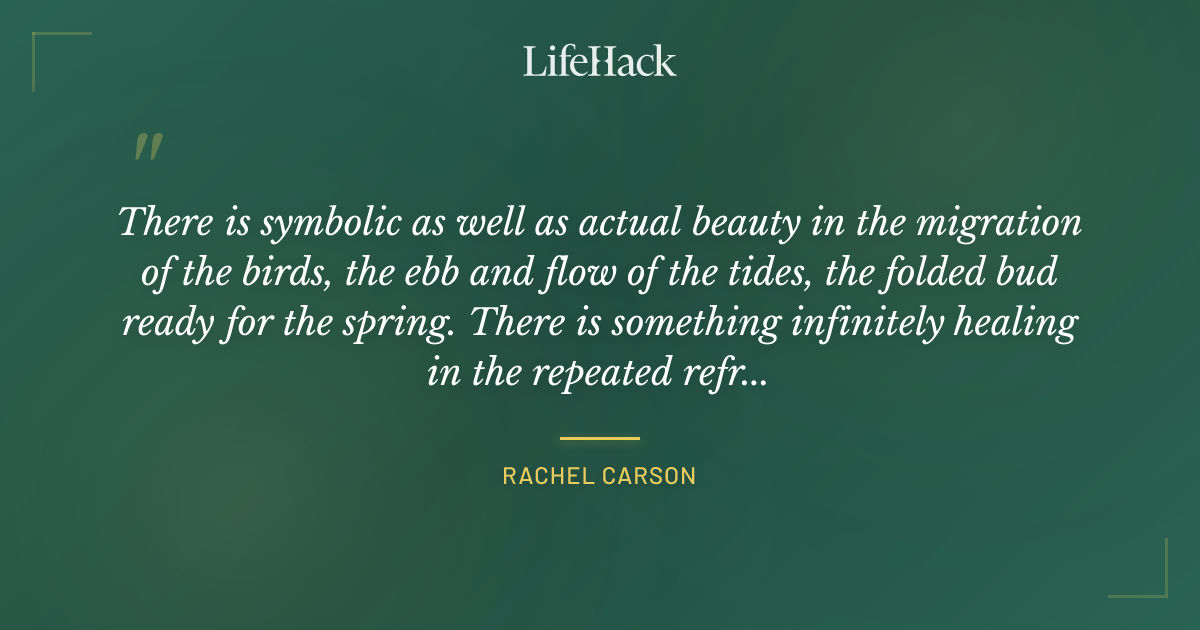 Quote by Rachel Carson