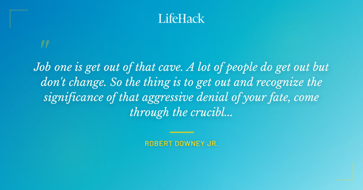 Quote by Robert Downey Jr.