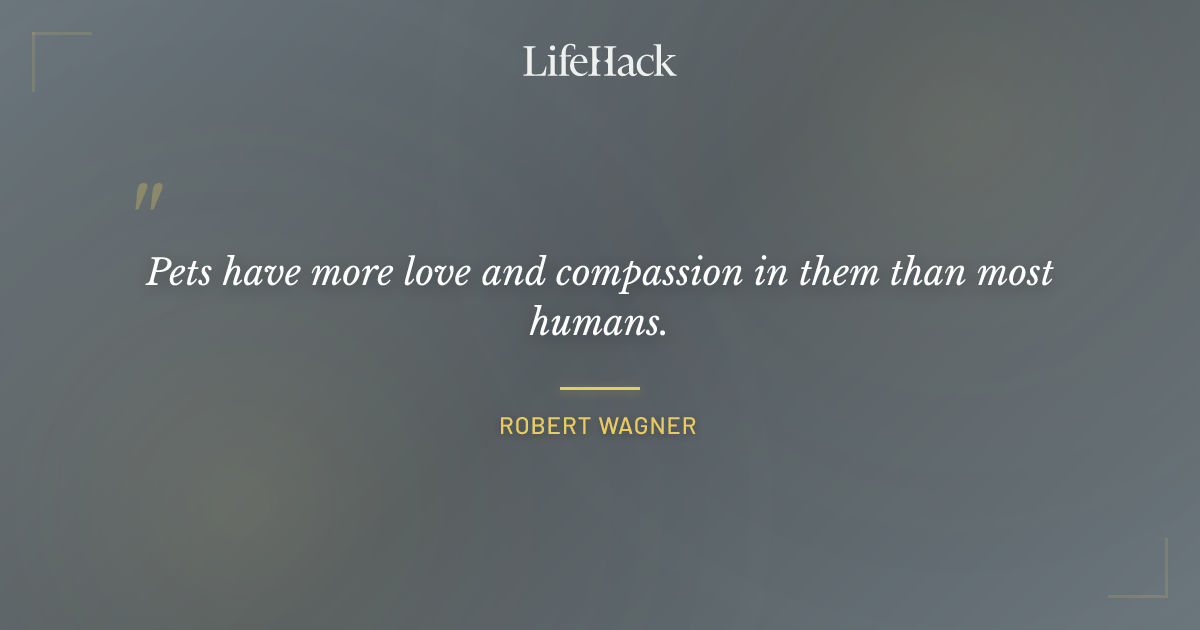 Quote by Robert Wagner