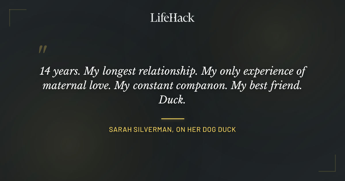 Quote by Sarah Silverman, On Her Dog Duck