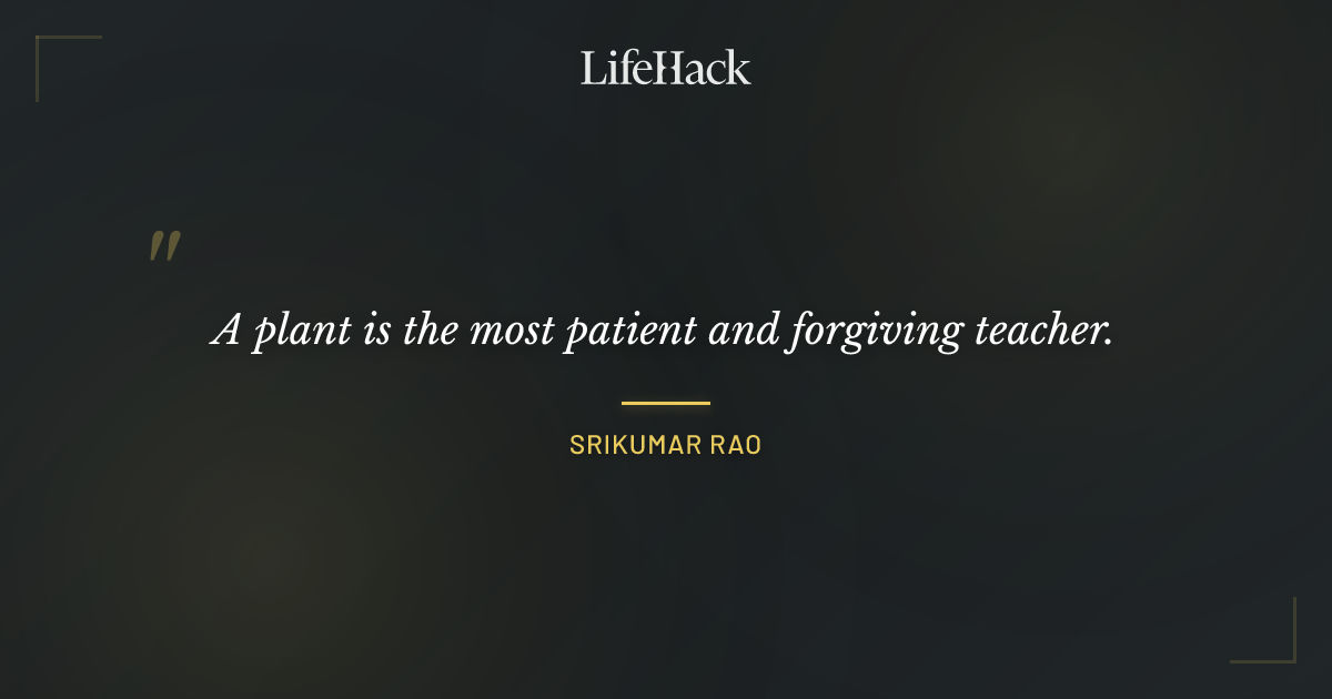 Quote by Srikumar Rao