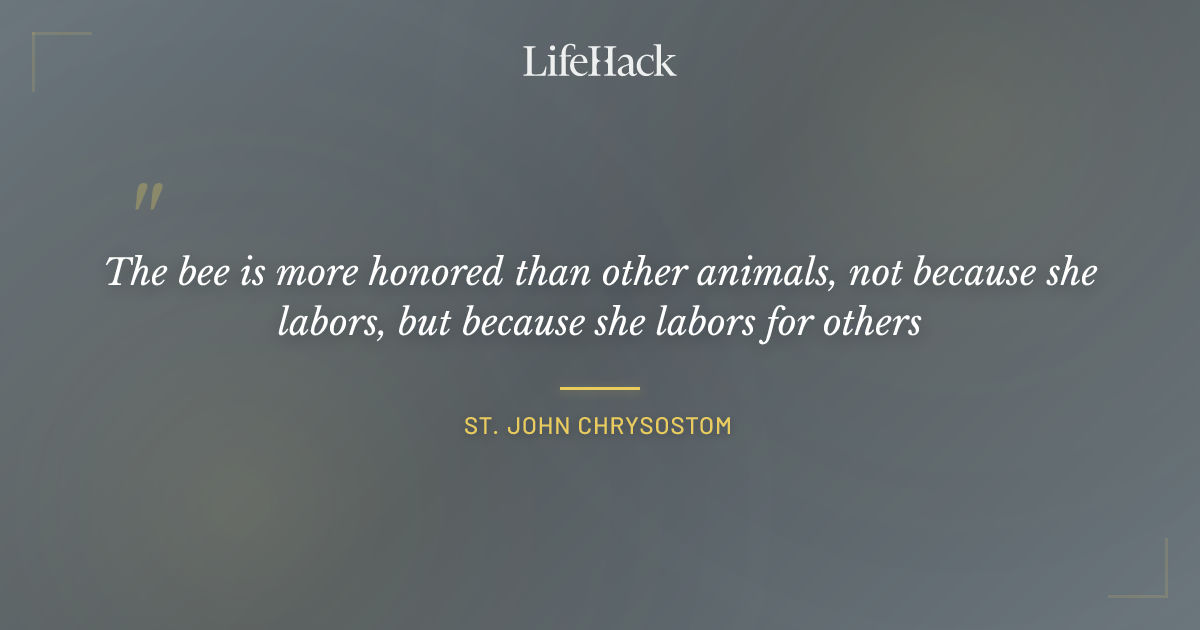 Quote by St. John Chrysostom