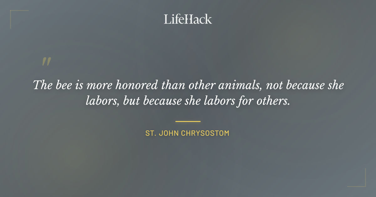 Quote by St. John Chrysostom