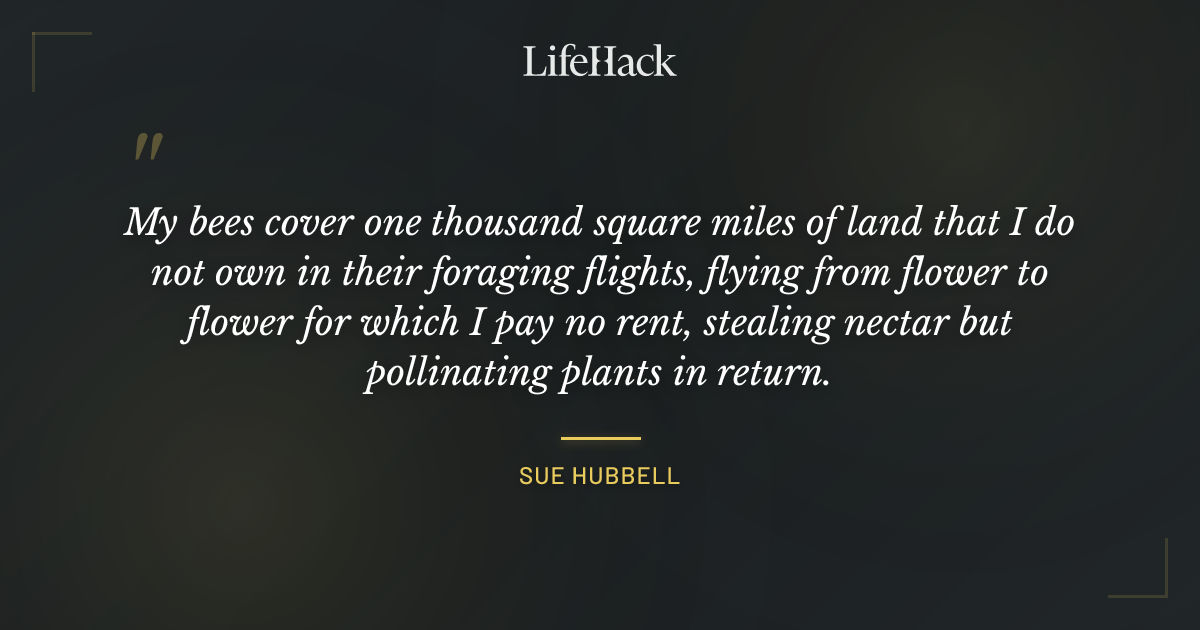 Quote by Sue Hubbell