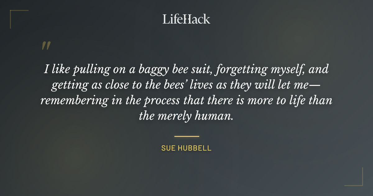 Quote by Sue Hubbell